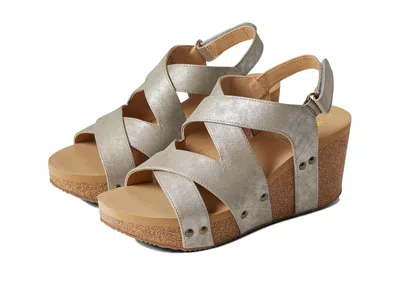 Volatile Tory In Brown