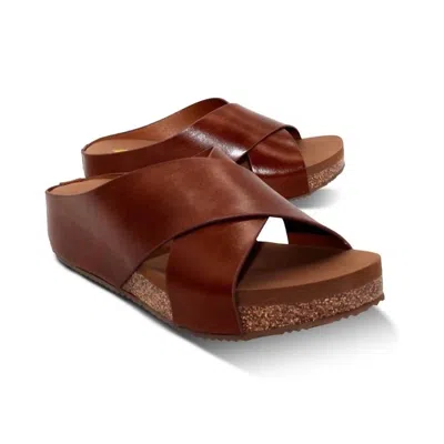 Volatile Women's Ablette Sandal In Tan In Blue