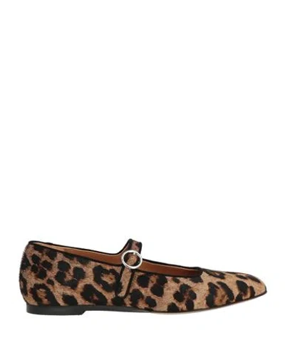 Voltan Woman Ballet Flats Camel Size 8 Leather In Brown