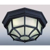 Volume Lighting 1-light Flush Mount In Black