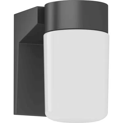 Volume Lighting 1-light Outdoor Sconce In Powder Coated Finish