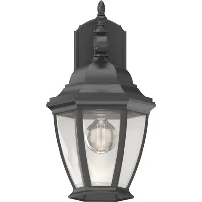 Volume Lighting 1-light Outdoor Wall Lantern