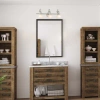 Volume Lighting Toledo 3-light Platinum Rust Vanity Light In Platinum Rust