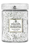 Voluspa Silver Birch & Peppercorn Small Jar Candle In Silver Birch