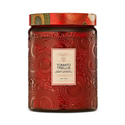 Voluspa Tomato Trellis Large Jar Candle 18 Oz. In Red