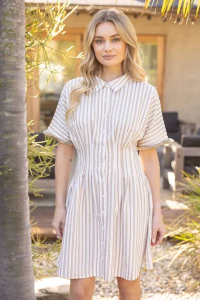 Voy Pleated Waist Striped Shirt Dress In Taupe In Multi