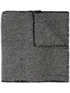 Voz Lineas Scarf In Black