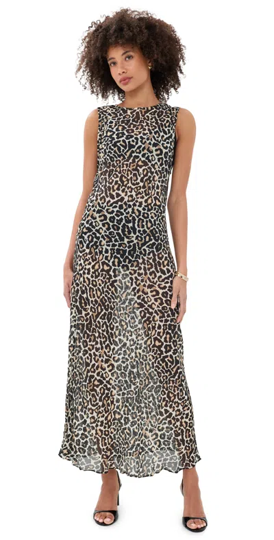 Vrg Grl Francesca Sheer Maxi Leopard Dress Leopard