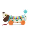 Vtech Leapfrog Wooden Alphapup In No Color