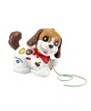 Vtech Walk Woof Puppy In Multi