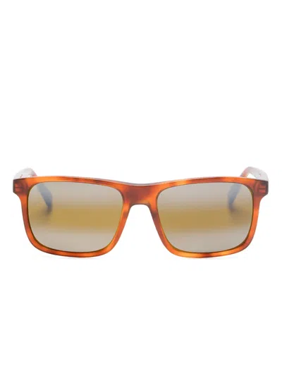 Vuarnet Belvedere Sunglasses In Brown