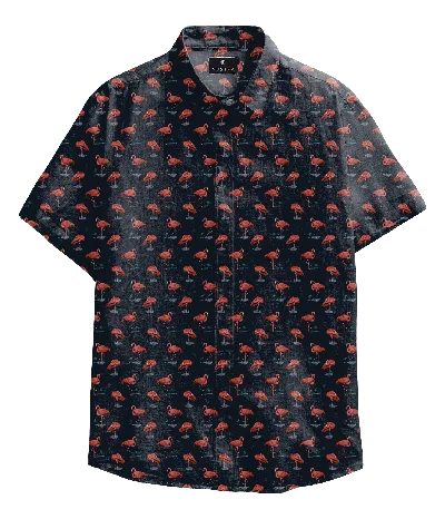 Vustra Men's Flamingo Print Short-sleeve Button-down Shirt In Black