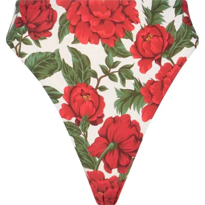 Vyb High Waist Cheeky Bikini Bottoms