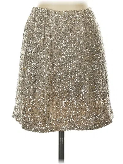 Pre-owned Vylette Formal Skirt In Silver