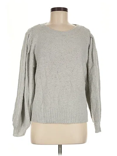 Pre-owned Vylette Pullover Sweater In Gray