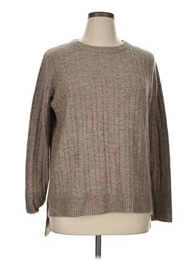 Pre-owned W. By Wantable Pullover Sweater In Brown