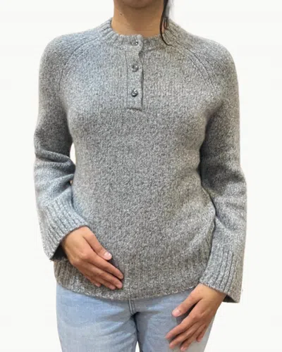 W. Cashmere Iris Crewneck Pullover Top In Cloudy In Gray