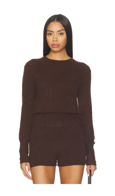 W. Cashmere Laurel Cinched Waist Sweater In Brown