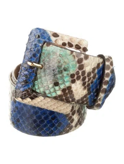 Pre-owned W. Kleinberg Python Belt In Multi