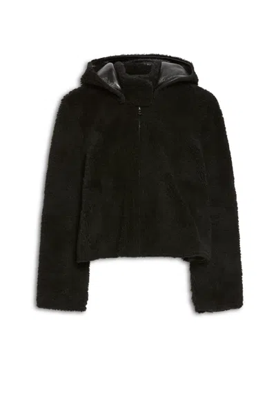 Scanlan Theodore Shearling Jacket In Black