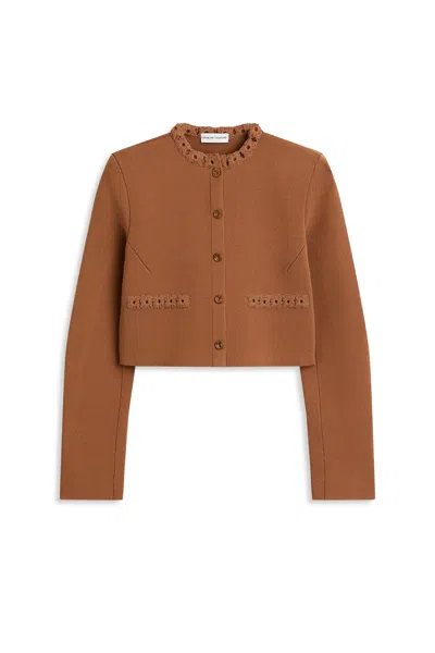 Scanlan Theodore Crepe Knit Daisy Crop Jacket In Brown