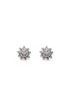 Scanlan Theodore Small Cascade Studs In Gray