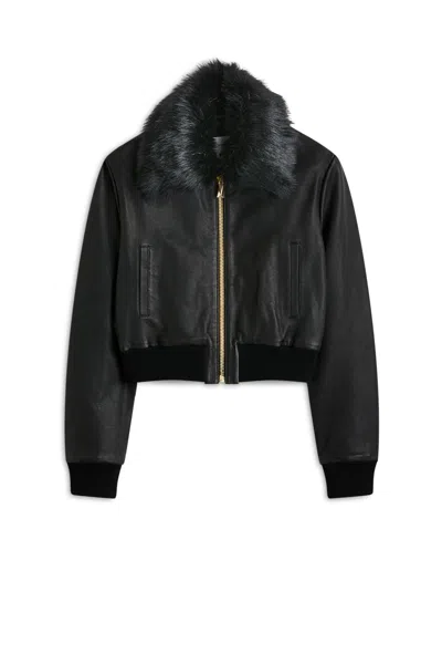 Scanlan Theodore Toscana Collar Leather Bomber In Black