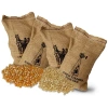 Wabash Valley Farms Farm Fresh Burlap Popcorn Kernel Bags - Set Of 4 In Multi