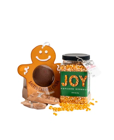 Wabash Valley Farms Salted Caramel Cocoa Joy Popcorn Gift Set, 2.5 Lbs. In Gold