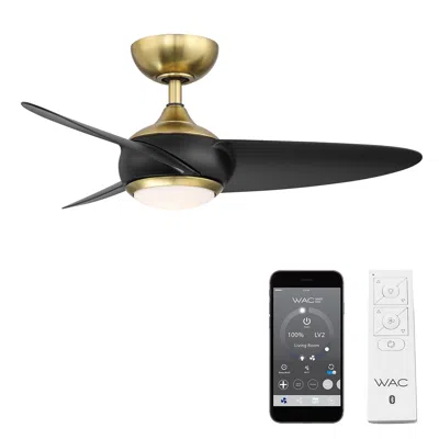 Wac 38"  Loft Soft Brass Smart Outdoor Led Ceiling Fan