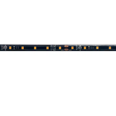 Wac Invisiled 10-foot Black 2700k Led Outdoor Tape Light