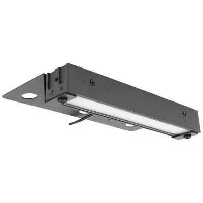 Wac Pola 12" Wide Bronze Brass Led Hardscape Light With Dual Cct