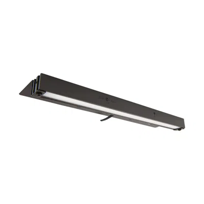 Wac Pola 12" Wide Bronze Led Hardscape Light With Dual Cct