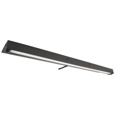 Wac Pola 18" Wide Bronze Led Hardscape Light With Dual Cct