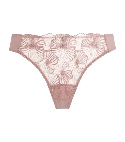 Wacoal Lace Cateline Tanga