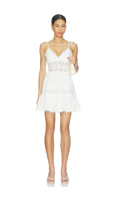 Waimari Amarelle Mini Dress In White