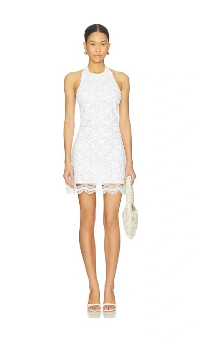 Waimari Medianoche Mini Dress In White
