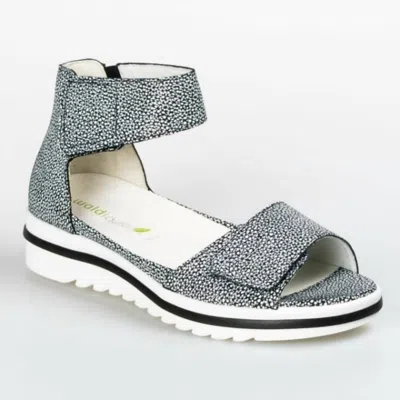 Waldläufer Women's Marigold Sandal In Black/white Combi In Gray