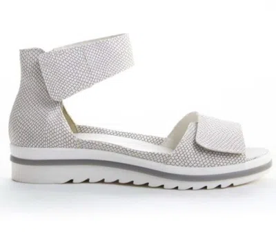 Waldläufer Women's Marigold Sandal In Silver In White