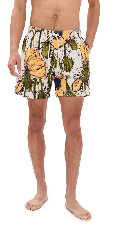Wales Bonner Althea Shorts 7 Poppy Yellow