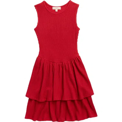 Walking On Sunshine Kids' Sleeveless Knit Tiered Dress In Red