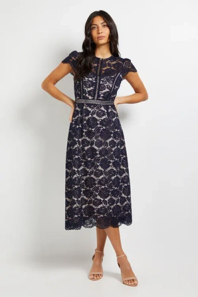 Wallis Lace Fit And Flare Midi Dress In Blue