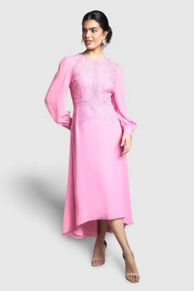 Wallis Lace Insert Chiffon Midi Dress In Pink
