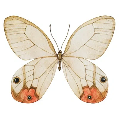 Wallpops Butterfly Headboard Wall Decal In Off-white