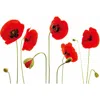 Walplus Red Poppy Flower 2-piece Wall Decals In Black/red/green