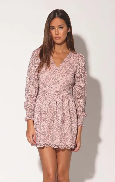 Walter Baker Adaline Floral Lace Long Sleeve Dress In Pink