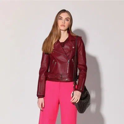Walter Baker Allison Jacket, Garnet - Leather In Multi