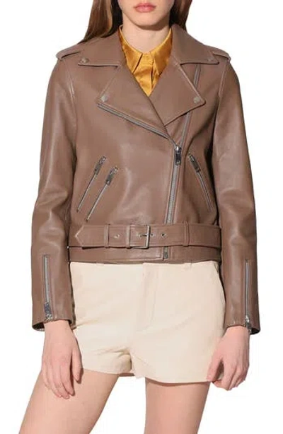 Walter Baker Allison Leather Moto Jacket In Cedar