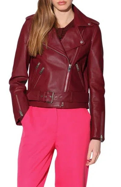 Walter Baker Allison Leather Moto Jacket In Garnet