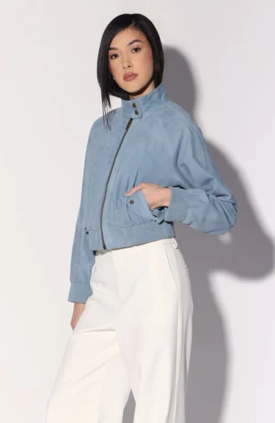 Walter Baker Bowie Suede Bomber Jacket In Blue